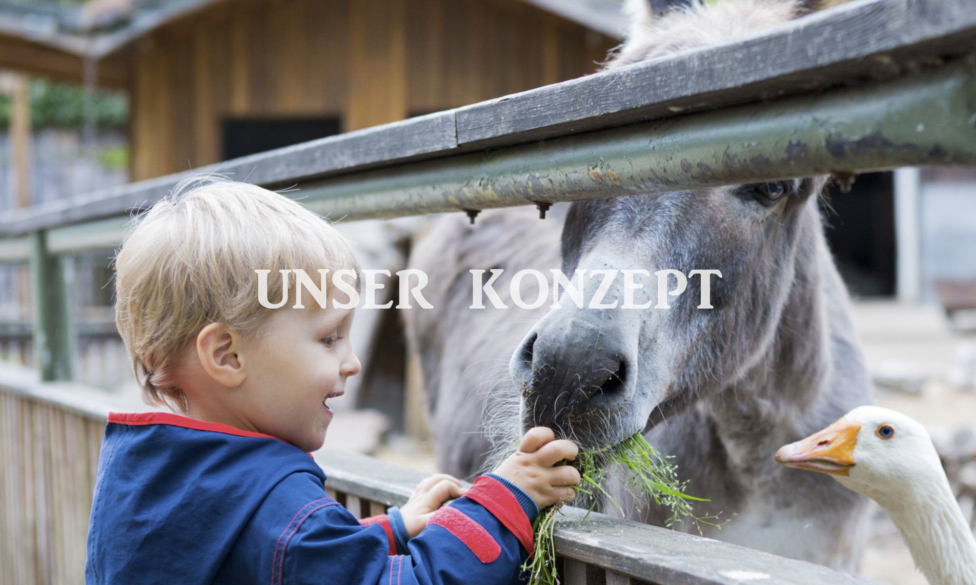 Kindertagespflege-Wolgast-Konzept